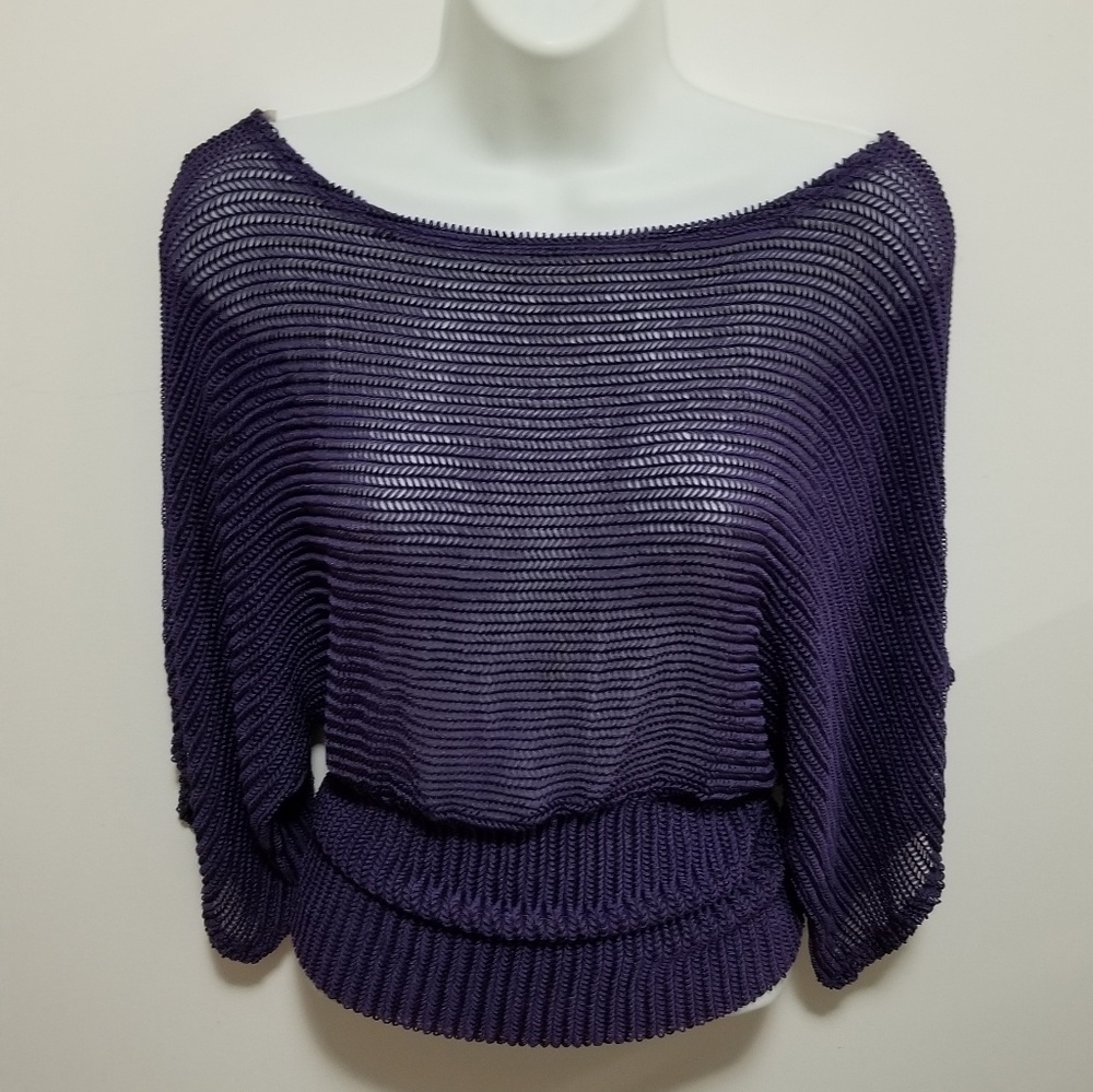 Purple 3/4 sleeves boat neck mesh top